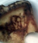 Jesus on Toast (French Toast) found in Pompano Beach, FL in 2008
