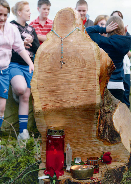 A tree stump in Limerick draws thousands